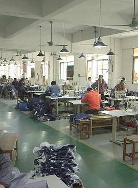 异乡的父母封面图