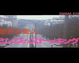 部长的爱人封面图