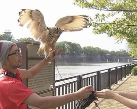 纪实72小时 夏末的大阪城公园封面图