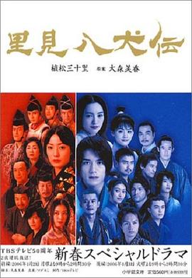 里见八犬传封面图