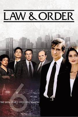 法律与秩序 第六季封面图