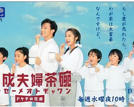 平成小气夫妻封面图