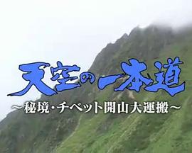 登天之路：西藏开山大运输封面图