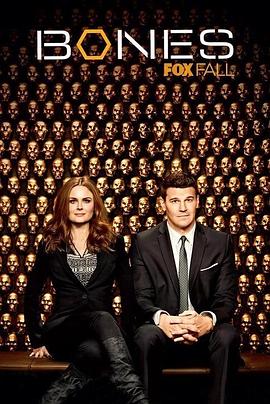 识骨寻踪 第九季封面图