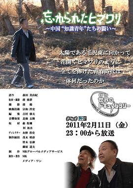 被遗忘的向日葵——中国知青的奋斗封面图