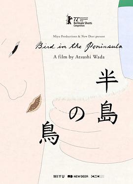 半岛之鸟封面图