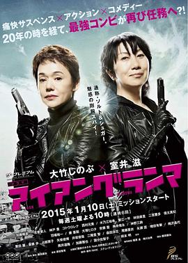 钢铁大妈封面图