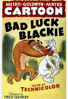 厄运小黑猫封面图