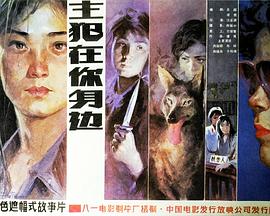 主犯在你身边封面图