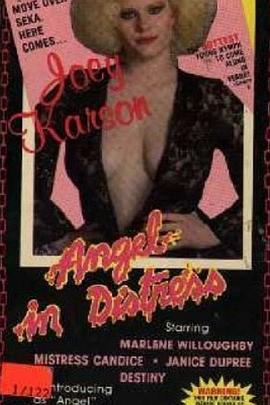 天使遇险封面图