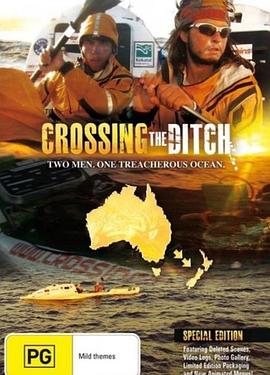 跨越鸿沟封面图