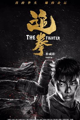 追拳封面图