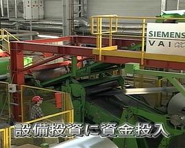 钢铁大王米塔尔 - 大并购时代的世界战略封面图