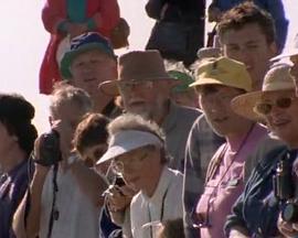 国家地理百年纪念： 狂野的海豚封面图