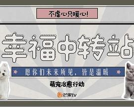 幸福中转站封面图