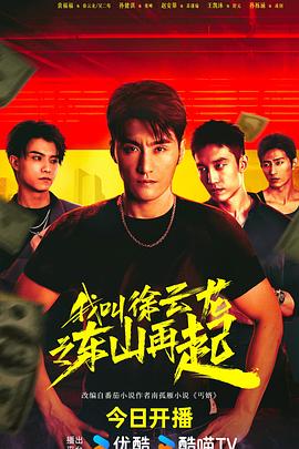 我叫徐云龙之东山再起封面图