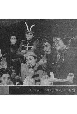 花王国的朋友封面图