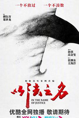 以法之名封面图