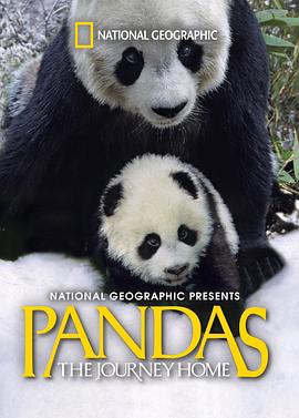 大熊猫：回家的旅程封面图