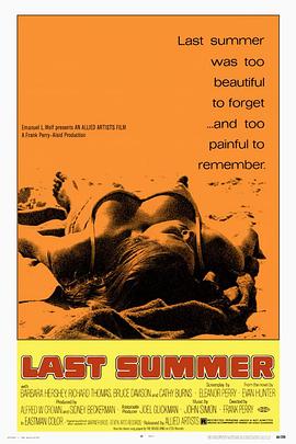 去年夏天封面图