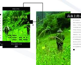 高山上的马夫封面图