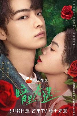 暗里着迷封面图