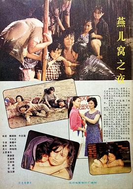 燕儿窝之夜封面图