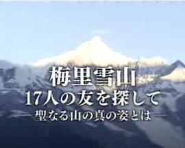 梅里雪山：寻找17位友人封面图