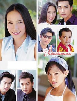 我心爱的密探封面图