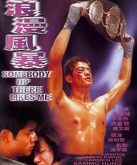 浪漫风暴封面图