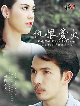 仇恨爱火封面图