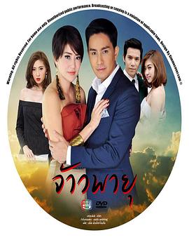 风暴大师封面图