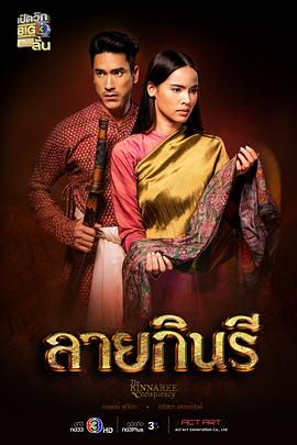 金娜丽花纹封面图