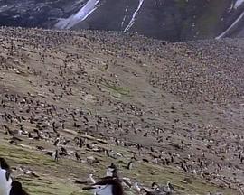 国家地理：南极冰原封面图