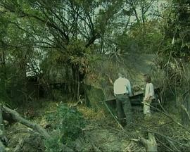 国家地理：与大猫同居封面图