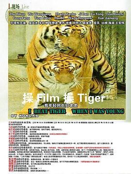 我年轻时也打老虎封面图