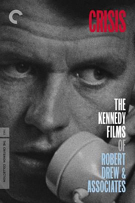 危机：总统之诺封面图