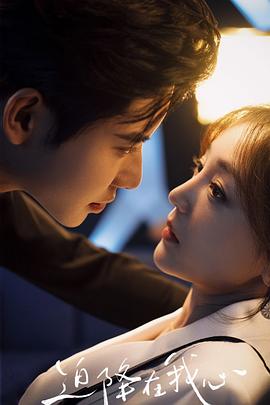 迫降在我心封面图