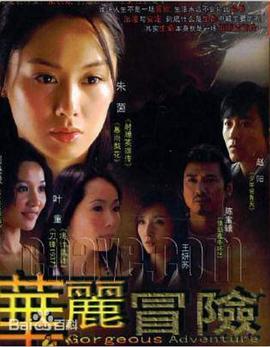 华丽冒险封面图