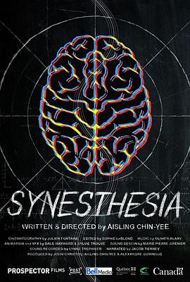 Synesthesia封面图