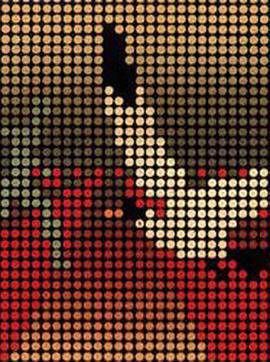 伊卡洛斯之翼封面图