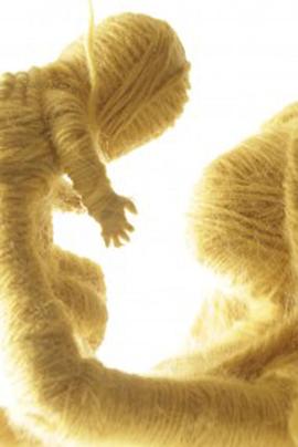 重生毛线封面图