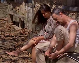 海豚男人封面图