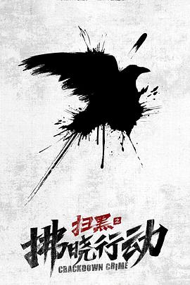 扫黑之拂晓行动封面图