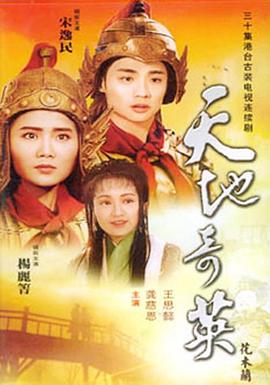 天地奇英花木兰封面图