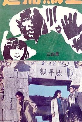 追捕贼王封面图