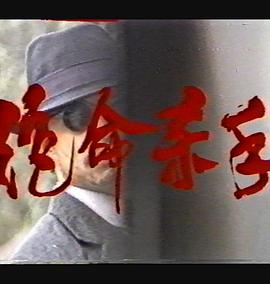 绝命杀手封面图