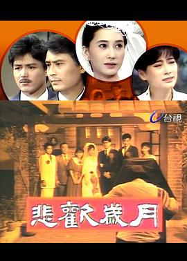 悲欢岁月封面图