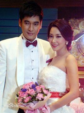 单身限期封面图