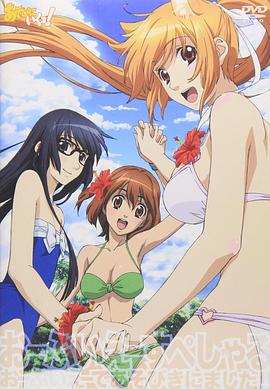 玩伴猫耳娘！ OVA封面图